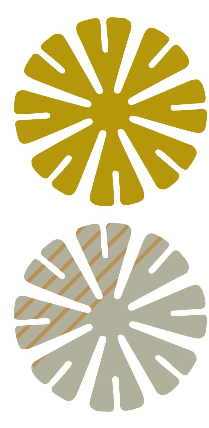 High Base Curve Pads